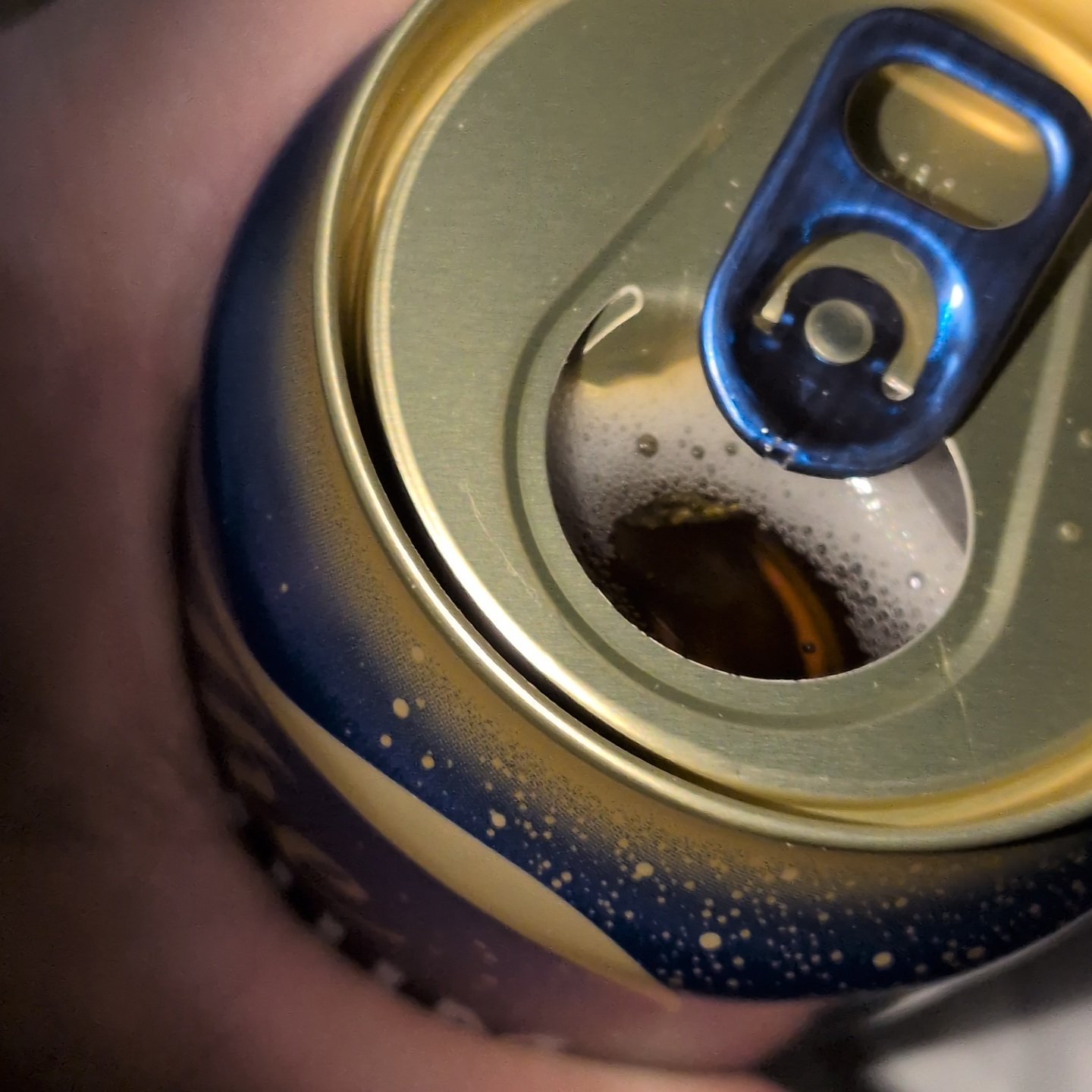 ザ・プレミアム・モルツ 350ml缶 【サントリー】の中身画像